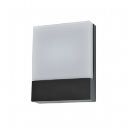 Aluminium Black LED Wall Light